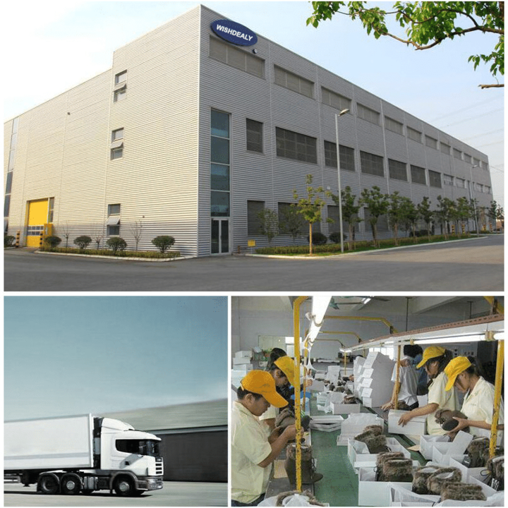 đ„Black Friday Sale 60% OFFđ„Lightweight, Comfortable Women's Mary Jane Flat Shoes